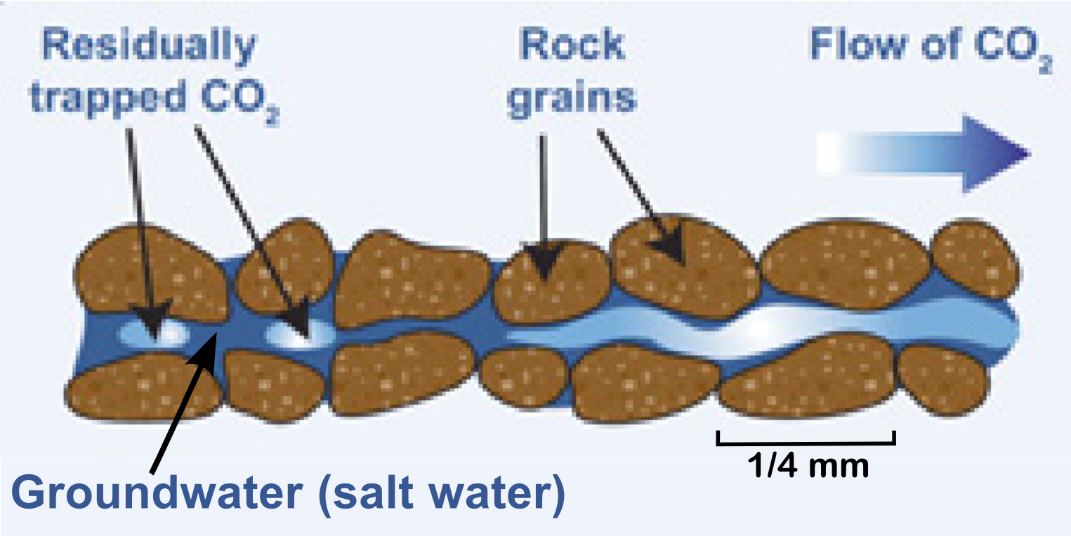 Drawing of residual trapping of CO2 as it flows through sandstone.